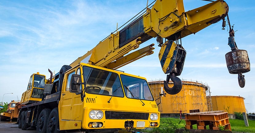 Top 6 Interesting Facts About Cranes